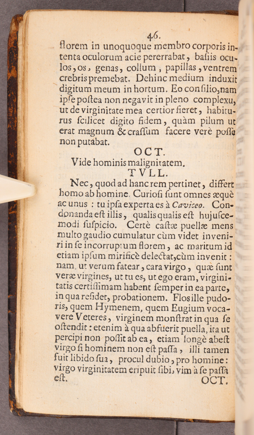 Page 46